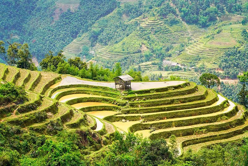 Rural Cycling Tours Northern Vietnam: Discover the Soul of the Highlands